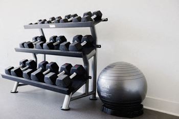 Free weights